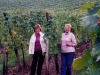 Summer in Alsace France -In the Vineyard