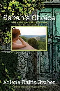 Sarah's Choice cropped.jpg Nook Press
